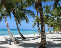 Punta Cana 10 noches inolvidables desde Rosario